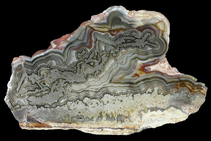 Polished Crazy Lace Agate Slab - Mexico #141202